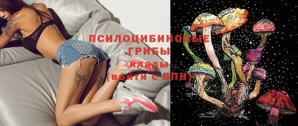 прущие грибы Волосово